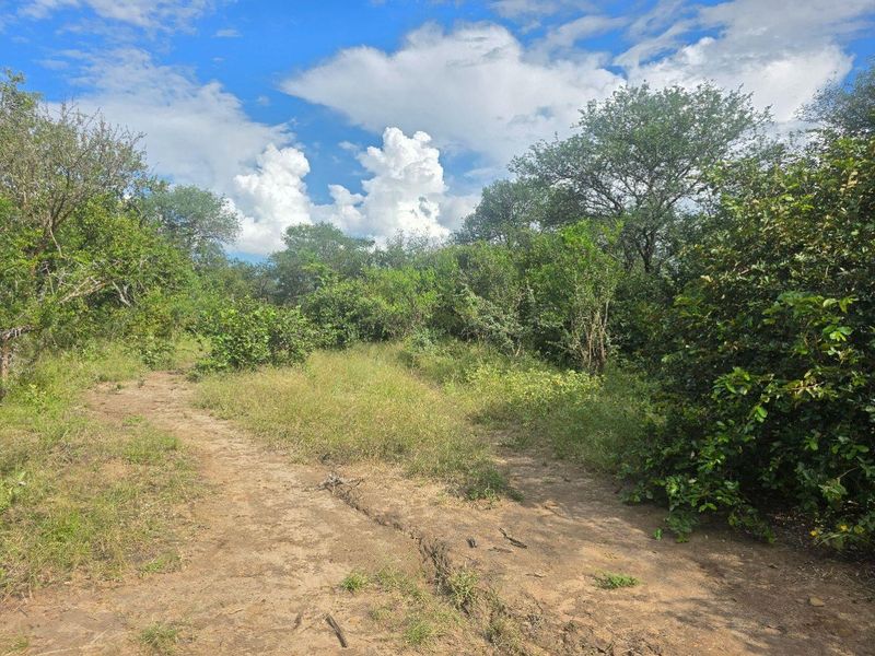 Rare & Private Riversdale Stand in Moditlo Wildlife Estate - Photo 5