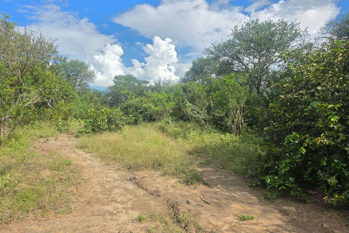 Rare & Private Riversdale Stand in Moditlo Wildlife Estate - Photo 5