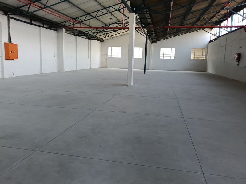 Spacious industrial warehouse unit featuring high ceilings with exposed steel trusses, concrete flooring, and integrated fire safety systems.