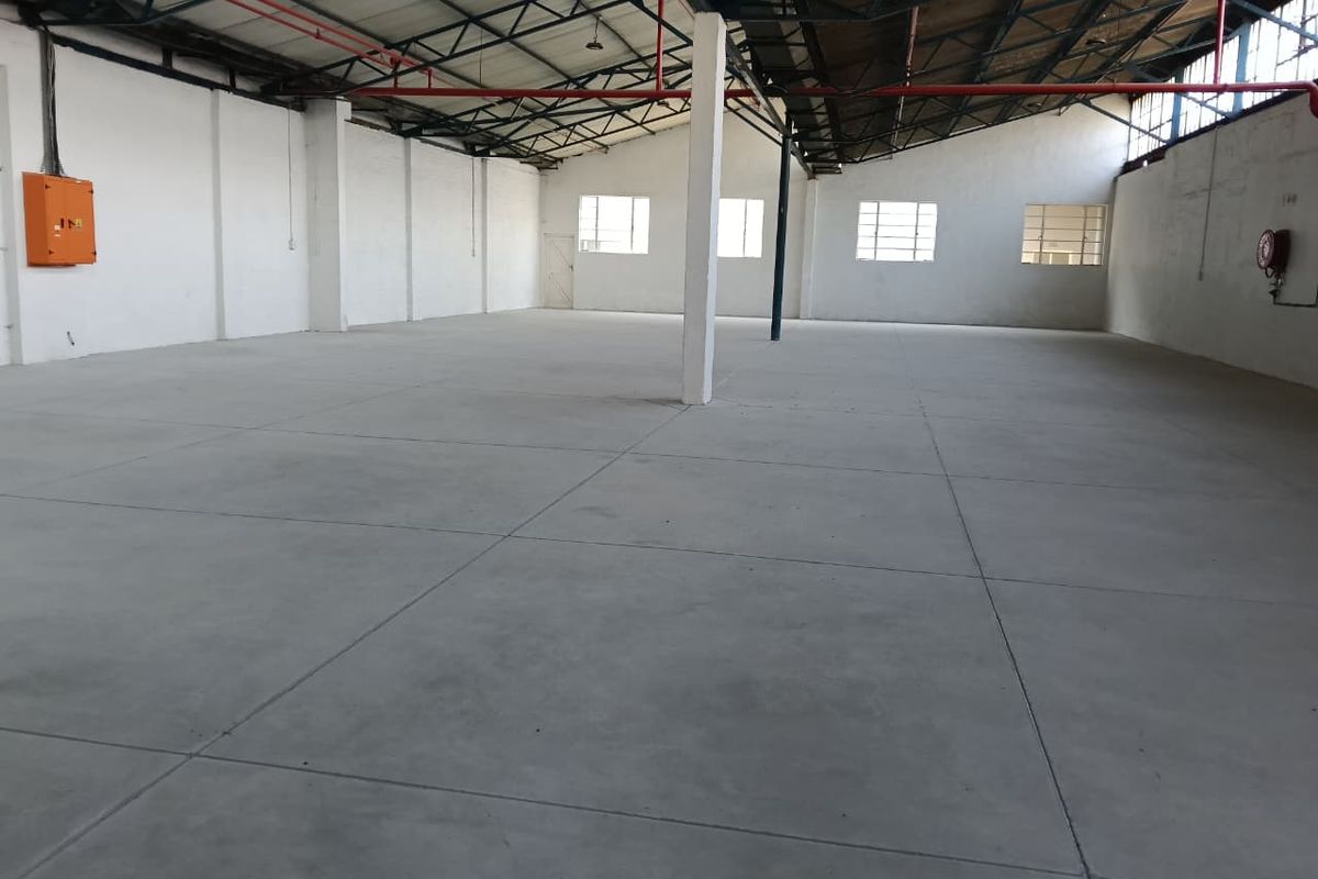 Spacious industrial warehouse unit featuring high ceilings with exposed steel trusses, concrete flooring, and integrated fire safety systems.