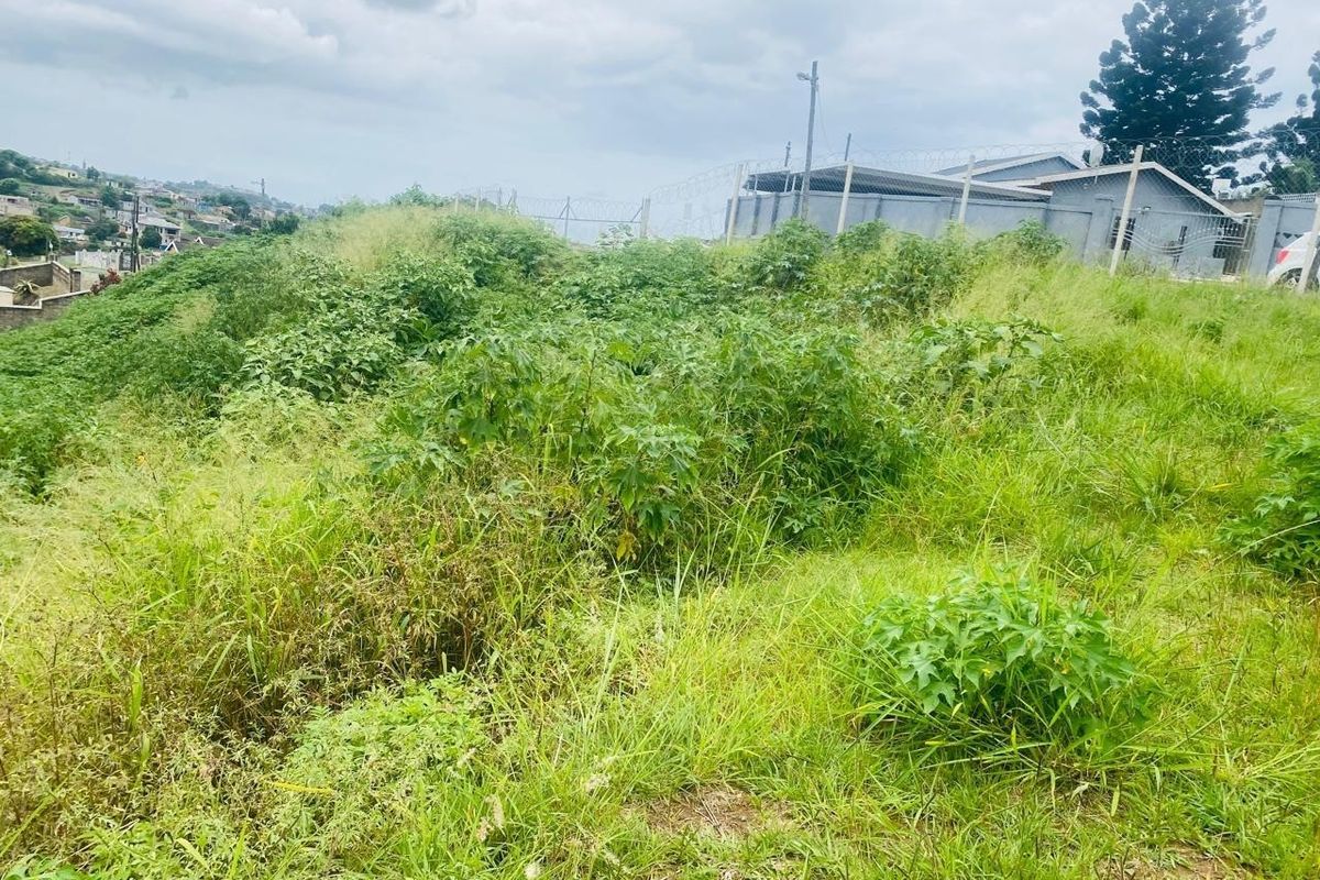 A vacant residential plot featuring overgrown grass and vegetation, enclosed by perimeter fencing with security razor wire.