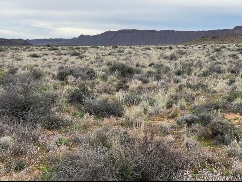 A Rare Karoo Legacy | 5 000 Hectares of Endless Opportunity - Photo 7
