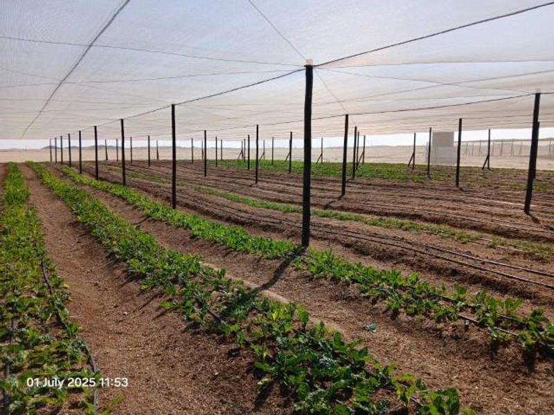 Swakop River Plot with established agricultural business for Sale - Photo 2