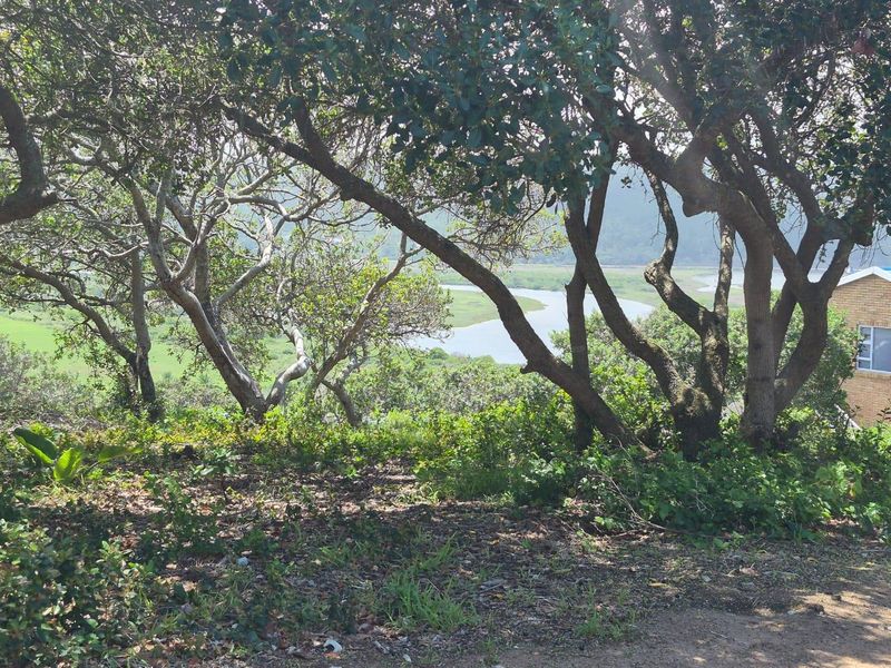 Prime Location: Expansive 1,075m2 Stand in Bergsig, Groot Brak River - Photo 2