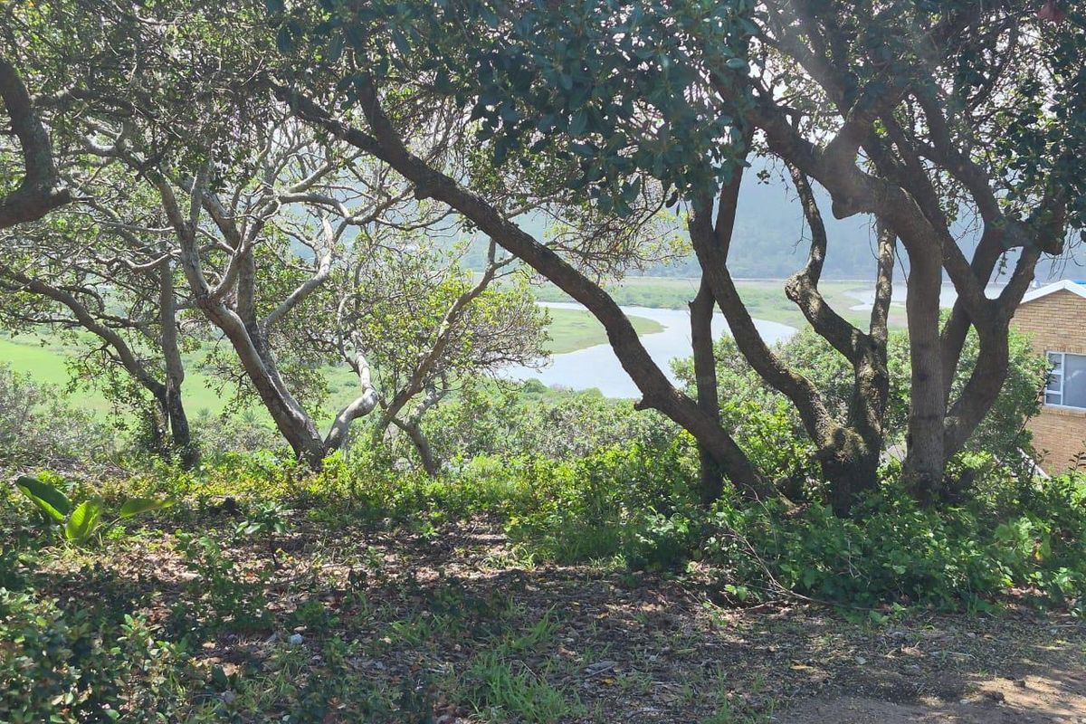 Prime Location: Expansive 1,075m2 Stand in Bergsig, Groot Brak River - Photo 2