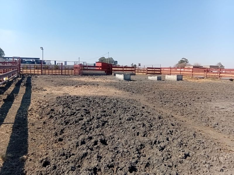 Kraal & Grazing Land to Rent – Withok Estate, Brakpan - Photo 8