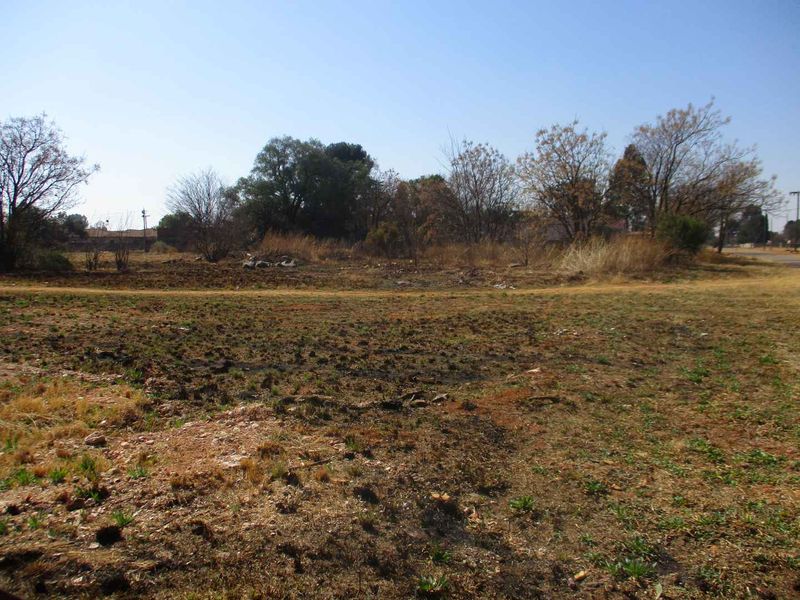 A view of an undeveloped residential plot featuring natural vegetation and open ground.