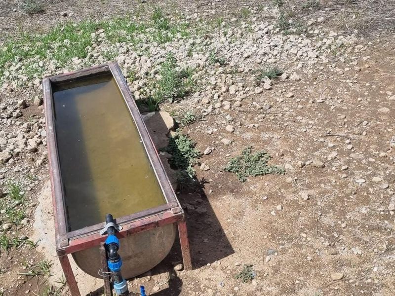 Farm for sale 7 700 000 - Photo 4