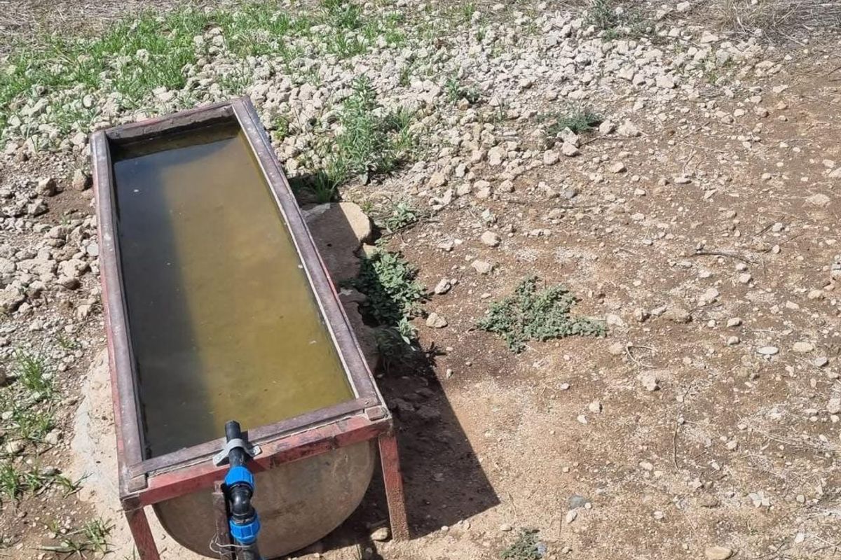 Farm for sale 7 700 000 - Photo 4