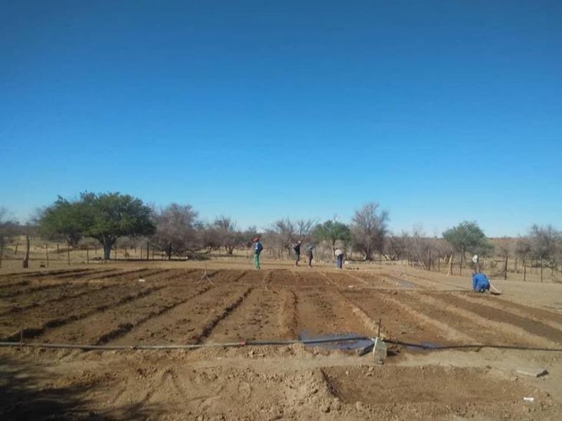 Farm for sale in Rehoboth - Photo 2