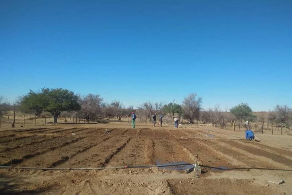 Farm for sale in Rehoboth - Photo 2