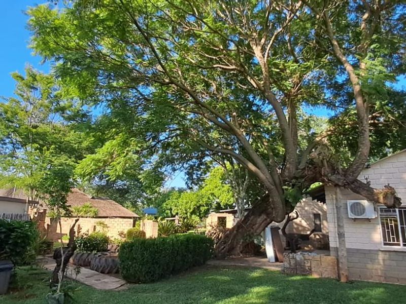 Agricultural Land with Established Business, Lodge & Restaurant for sale in Limpopo, South Africa - Photo 10