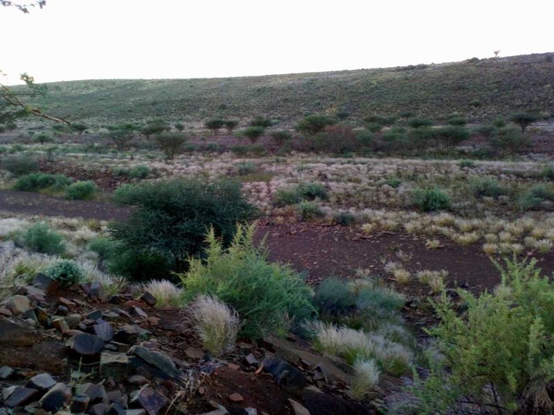 FOR SALE- FARM IN KARASBURG AREA, NAMIBIA - Photo 3