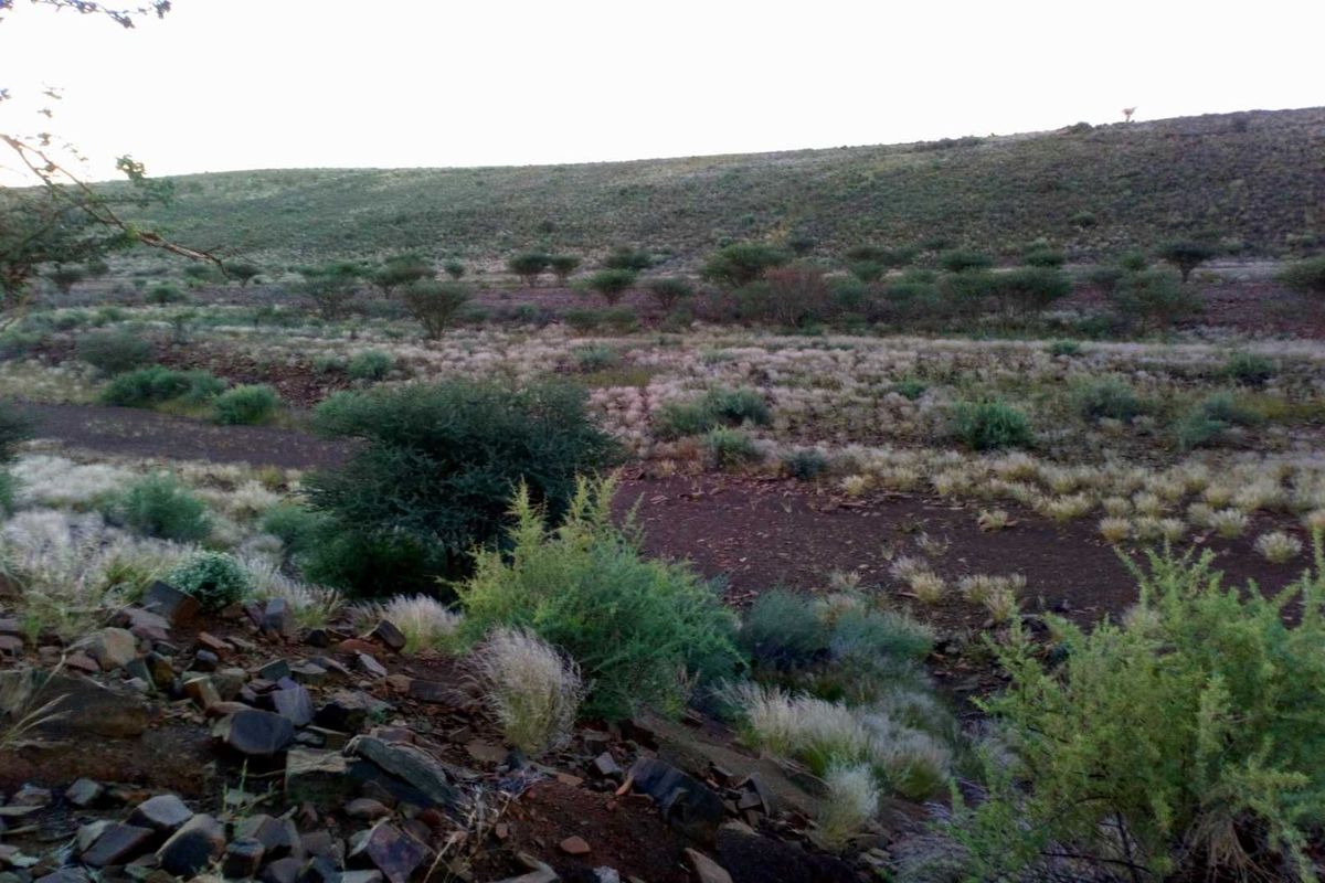 FOR SALE- FARM IN KARASBURG AREA, NAMIBIA - Photo 3