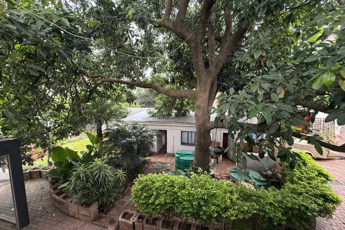 A view of the rear garden area featuring mature trees, paved pathways, and a small outbuilding with a corrugated metal roof.