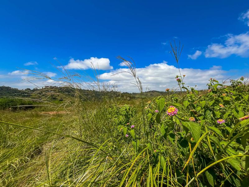 Beautiful Land in Stoneford Country Estate - Photo 7