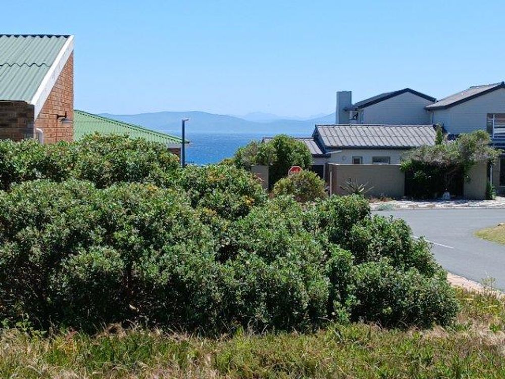 Same as previous photo; now zoomed in a bit.