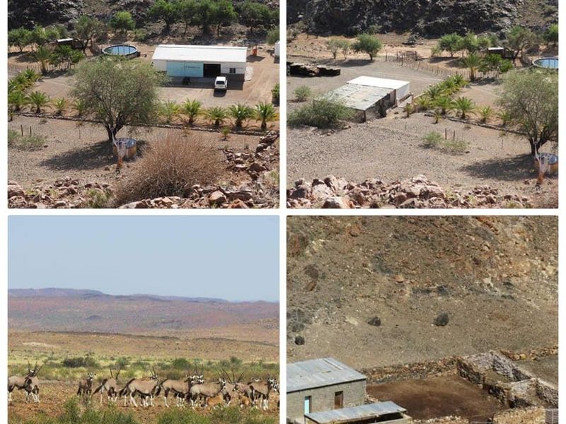 GAME FARM FOR SALE IN NOORDOEWER DISTRICT: - Photo 2