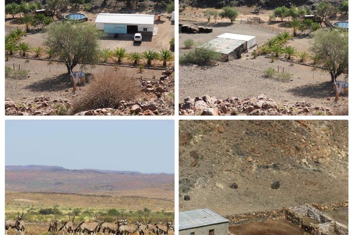 GAME FARM FOR SALE IN NOORDOEWER DISTRICT: - Photo 2