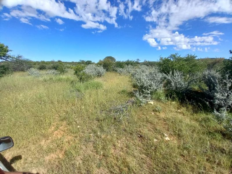 An expansive view of the natural farm landscape featuring native shrubs and open grassy terrain under a clear blue sky.