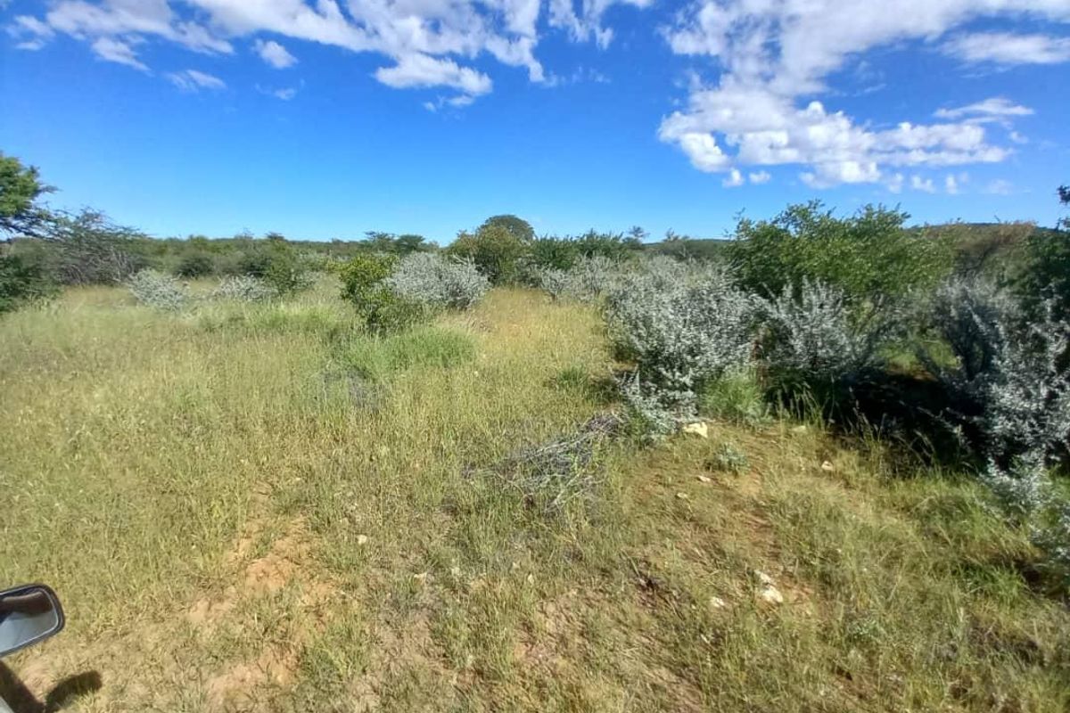 An expansive view of the natural farm landscape featuring native shrubs and open grassy terrain under a clear blue sky.