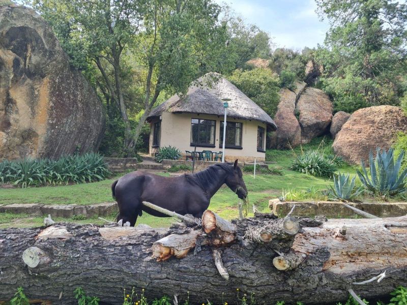 A Landmark Lifestyle Investment at the Gateway to Lesotho - Photo 3