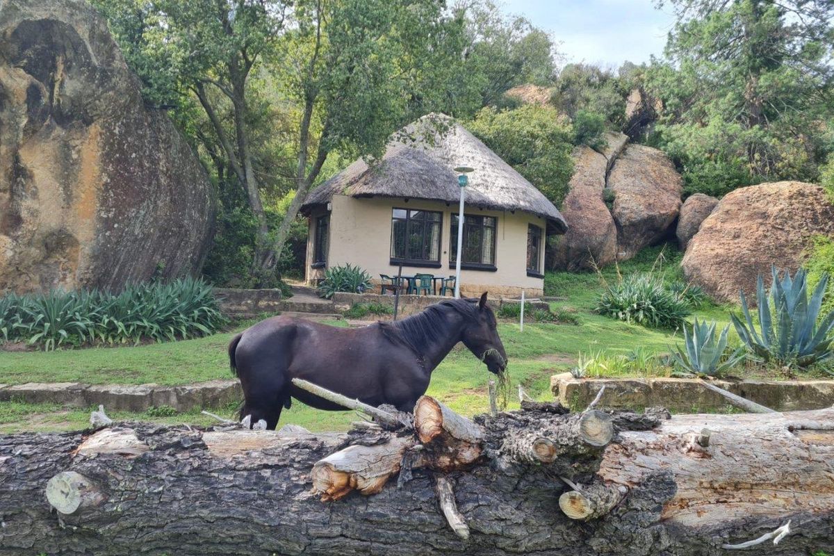 A Landmark Lifestyle Investment at the Gateway to Lesotho - Photo 3