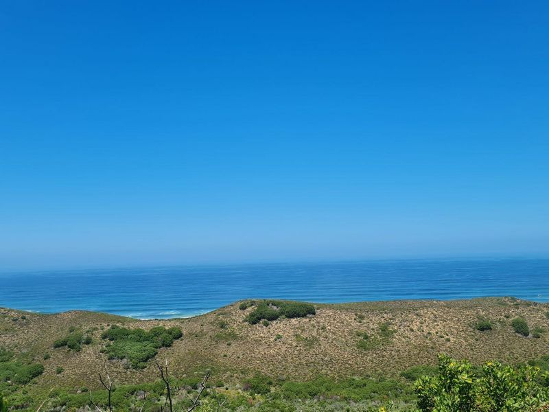 Natures dream - Photo 10