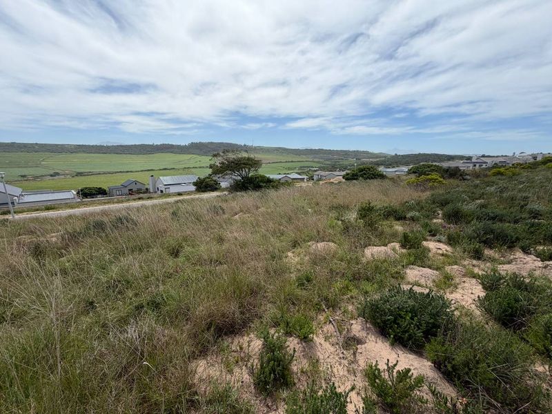 A view of the vacant residential land featuring natural coastal vegetation and sandy terrain with surrounding neighborhood houses in the distance.