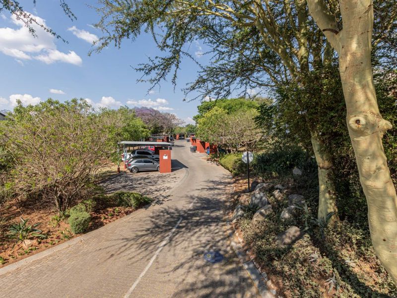A view of the paved driveway and complex entrance featuring established trees, landscaped garden areas, and covered parking bays.