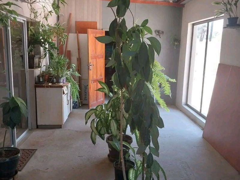 ✨ FOR SALE | Ondangwa Extension 4 ✨ Space, location & opportunity in one property! - Photo 9