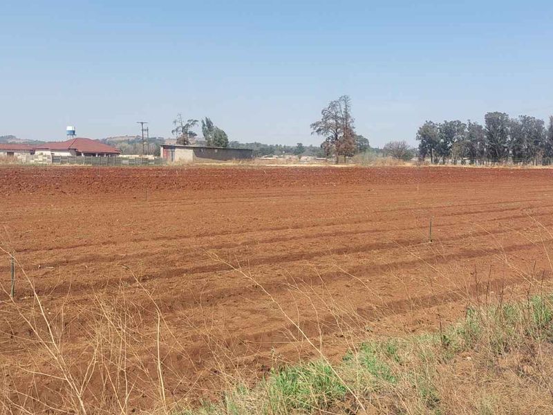 Thriving Vegetable Farm in Eikenhof for sale - Photo 5