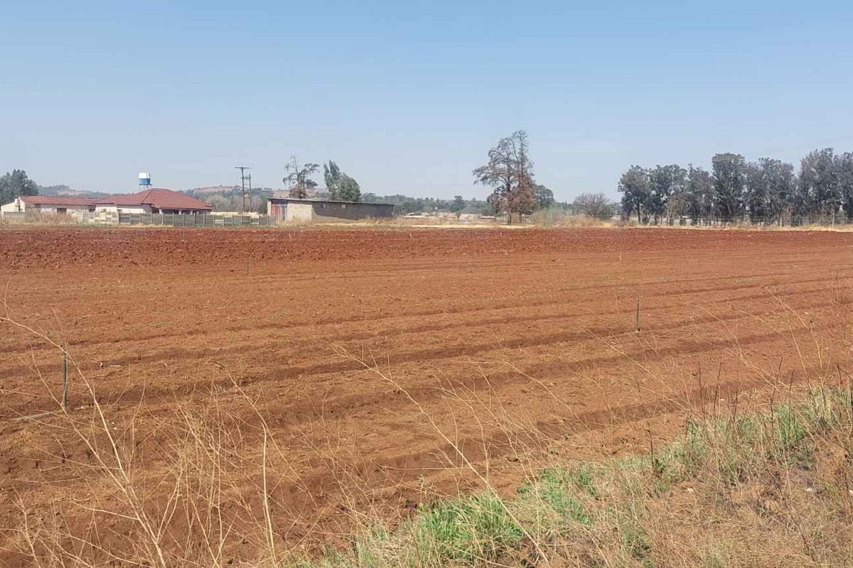 Thriving Vegetable Farm in Eikenhof for sale - Photo 5