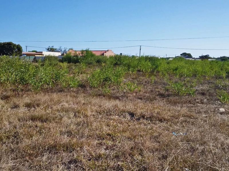 Home is where the herd is... - Photo 2