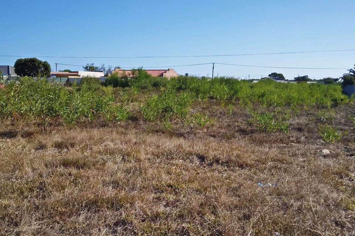 Home is where the herd is... - Photo 2