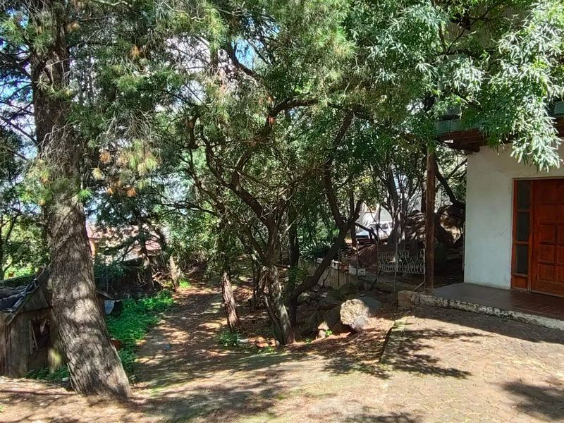 Bassonia Gem: Endless Potential on 4720sqm Stand!!! - Photo 4