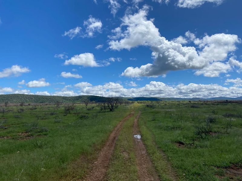 Large-Scale  Game Farm for Sale – Power, Production & Potential - Photo 8