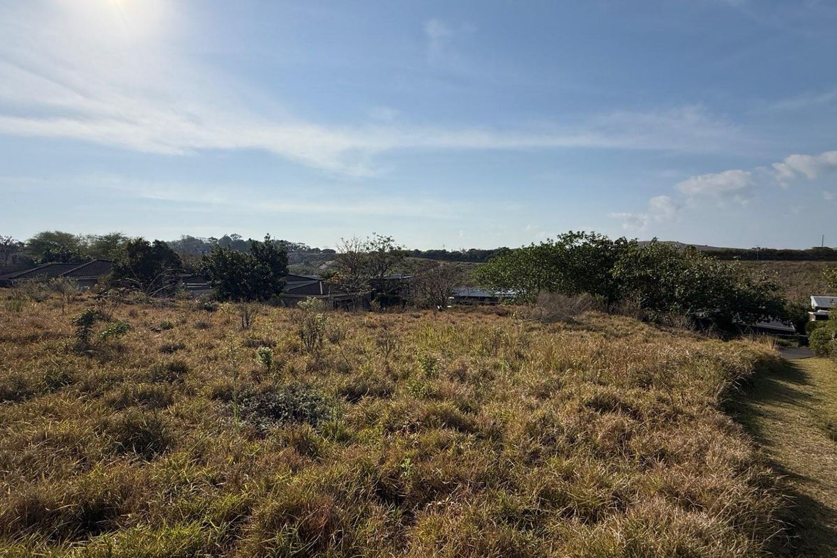 A view of an undeveloped residential plot featuring natural grassland and surrounding neighborhood vegetation.