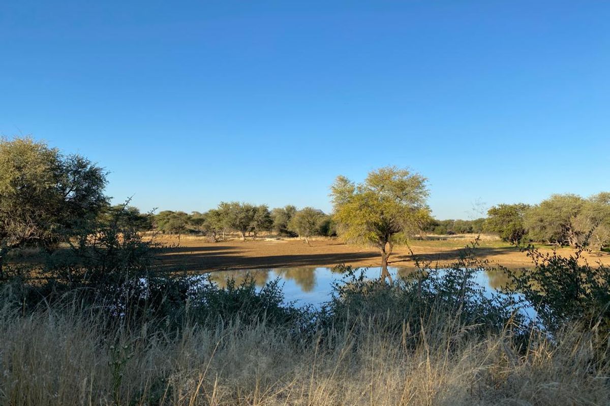 A scenic view of a natural farm dam surrounded by indigenous trees and open veld landscape.