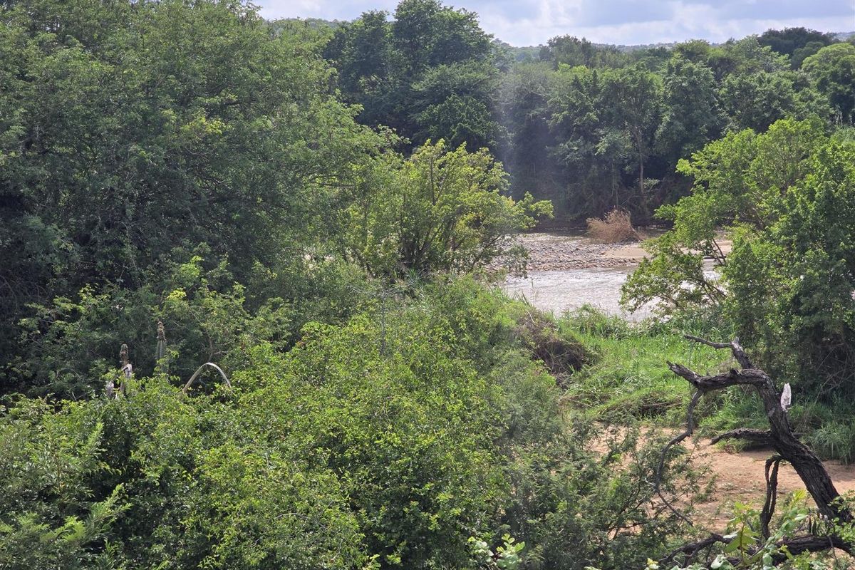 Brand-New Luxury Bushveld Home – Move-In Ready by End August! - Photo 5