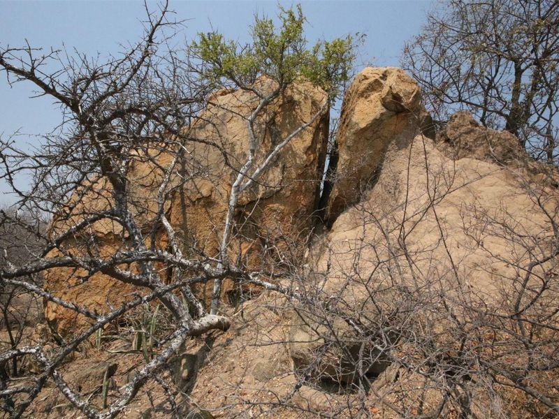 Exclusivity and quietness is the name of the game. - Photo 8