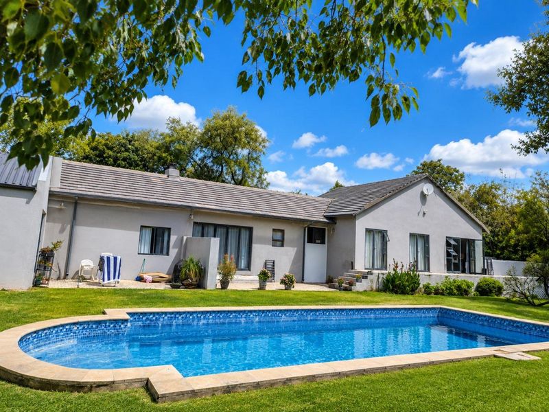 Rear view of the house featuring a swimming pool, paved patio area, and well-maintained garden space.
