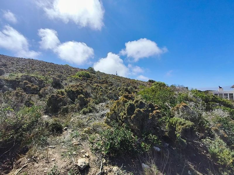 Vacant Stand For Sale in Grootrug Farm, Gouritsmond - Photo 2