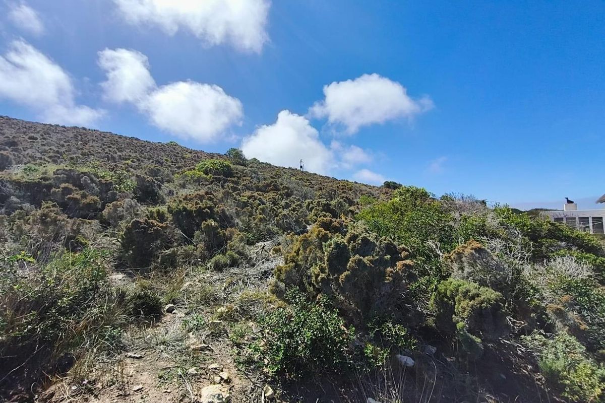 Vacant Stand For Sale in Grootrug Farm, Gouritsmond - Photo 2