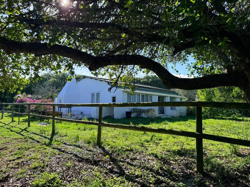 A view of the rear farmhouse elevation featuring a covered patio, chimney, and timber post and rail fencing set within a mature garden.