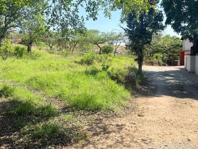 A view of a natural, undeveloped residential plot featuring mature trees and an unpaved access path.