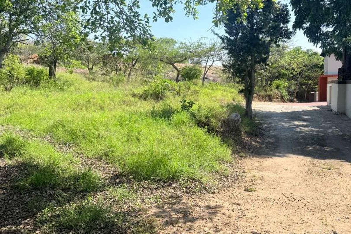 A view of a natural, undeveloped residential plot featuring mature trees and an unpaved access path.