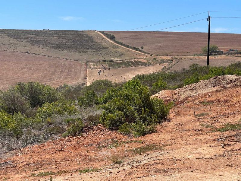 766m2 Vacant Stand For Sale in Hartland Lifestyle Estate - Exclusive Opportunity - Photo 2