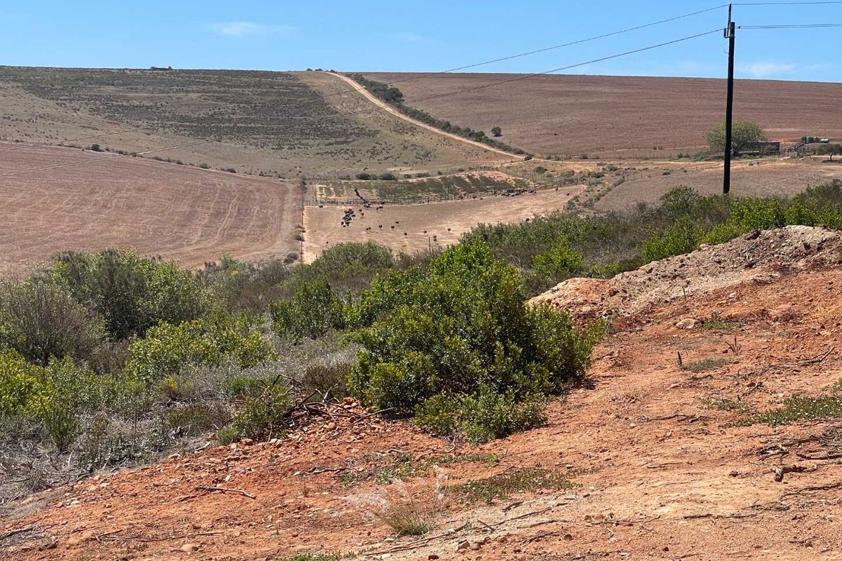 766m2 Vacant Stand For Sale in Hartland Lifestyle Estate - Exclusive Opportunity - Photo 2