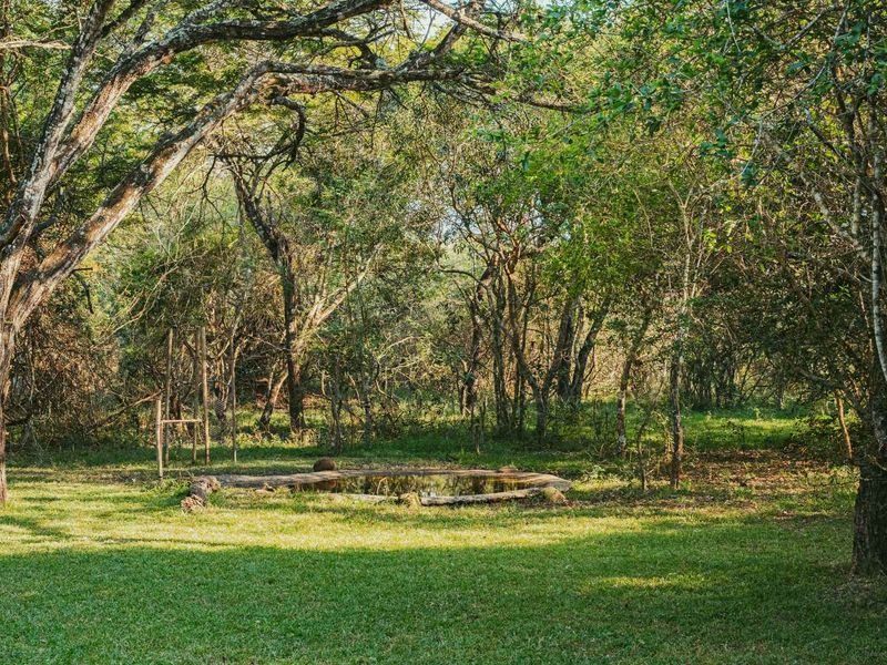 Bush Lodge with Income Potential – Kuleni Game Park, Hluhluwe - Photo 10